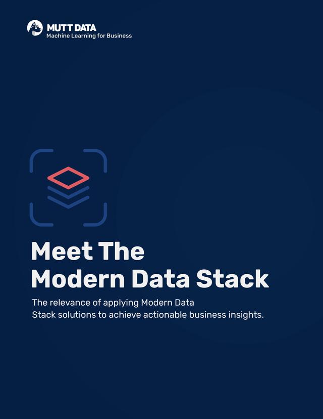 Whitepaper cover thumbnail: Meet The Modern Data Stack